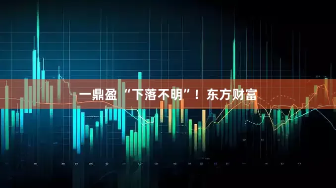 一鼎盈 “下落不明”！东方财富