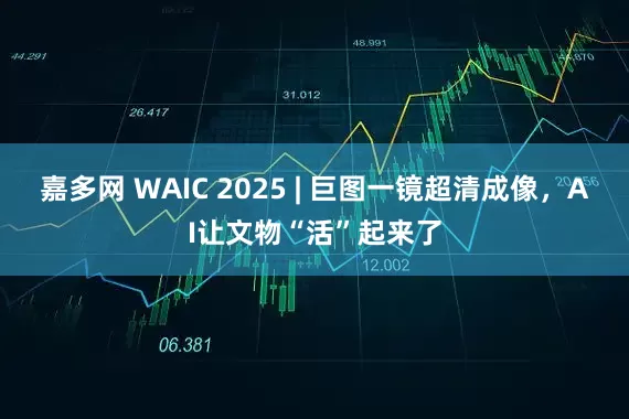 嘉多网 WAIC 2025 | 巨图一镜超清成像，AI让文物“活”起来了